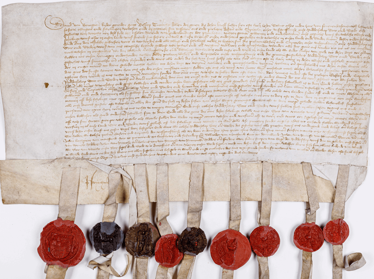 Charter vertalen oud schrift aktes transcriberen
